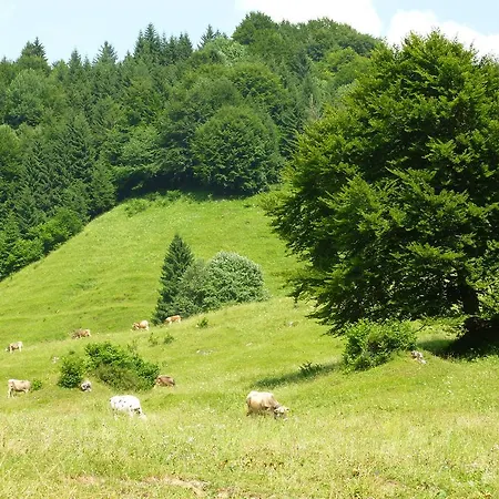 Cima D'oro Molina di Ledro